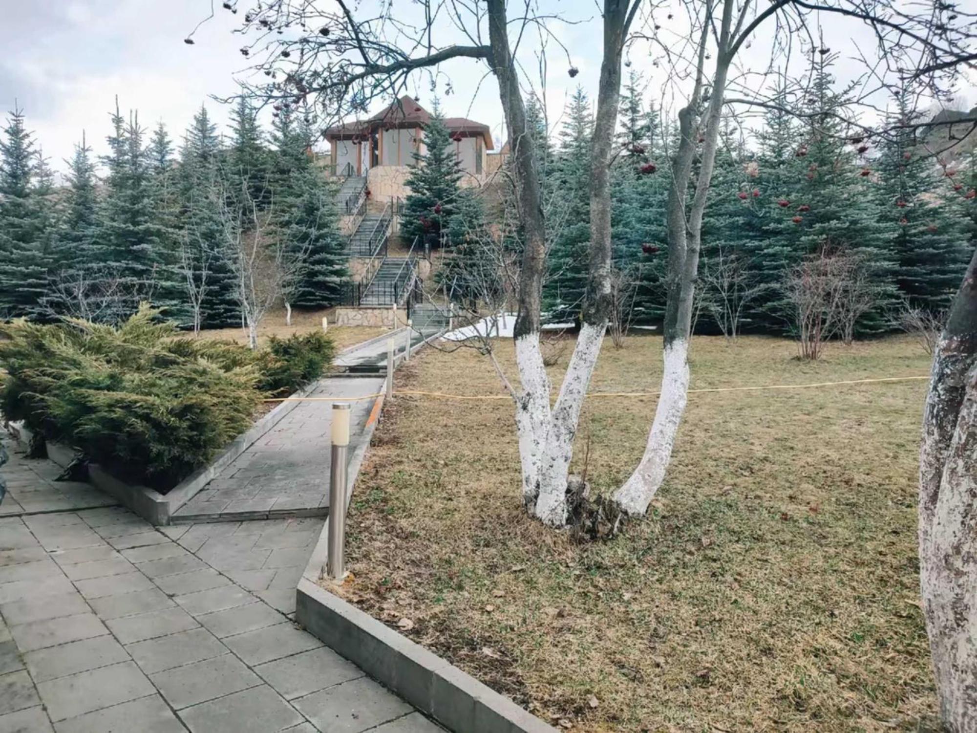 Vardisubani Villa カズベギ エクステリア 写真