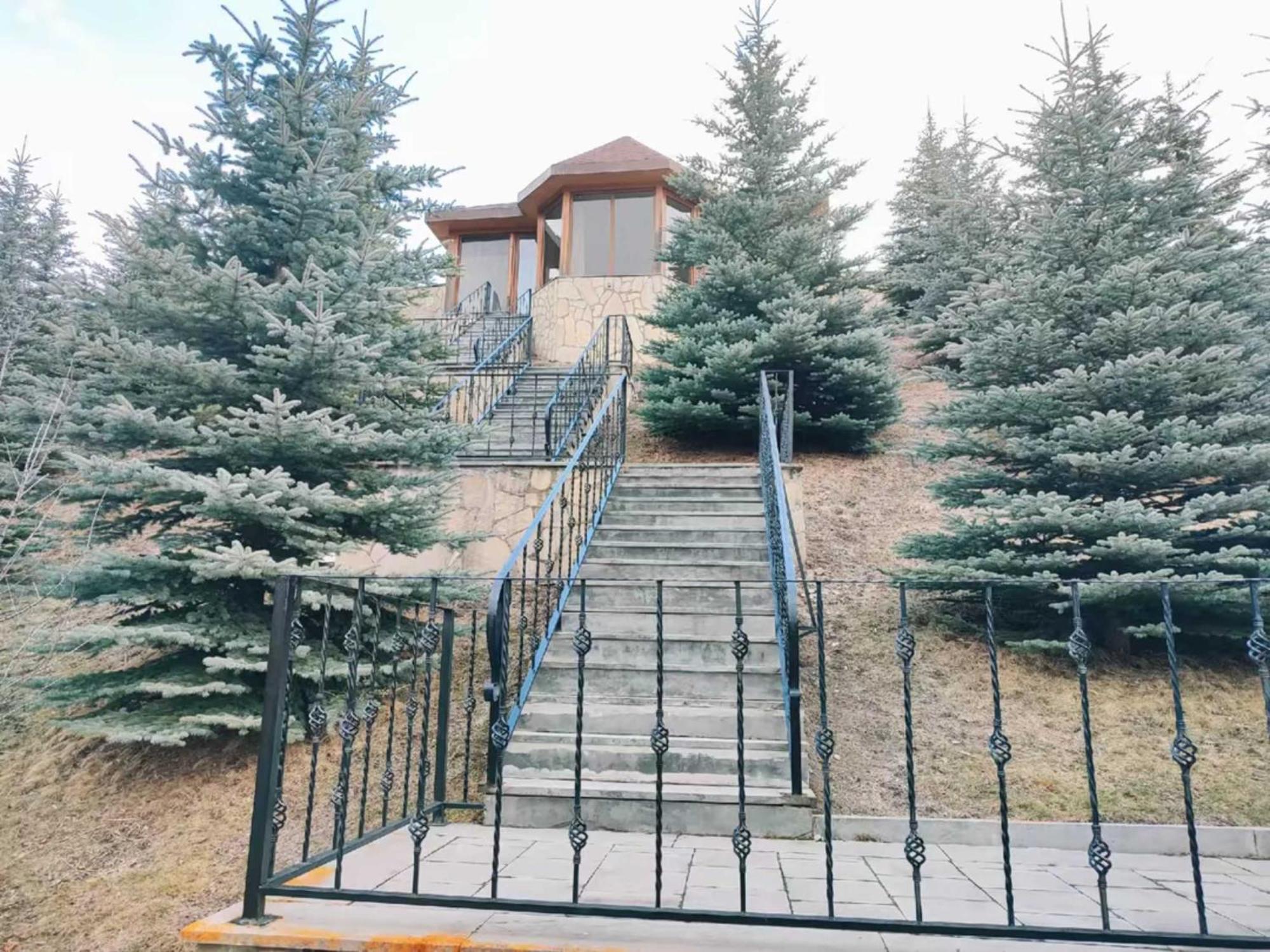 Vardisubani Villa カズベギ エクステリア 写真
