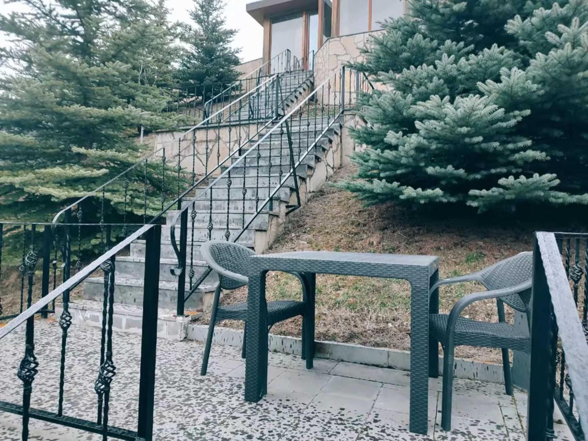 Vardisubani Villa カズベギ エクステリア 写真